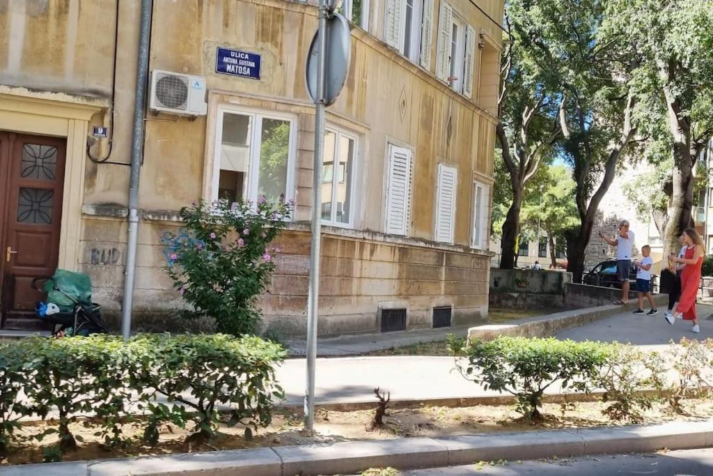 Appartement Dalmatian In The Center *