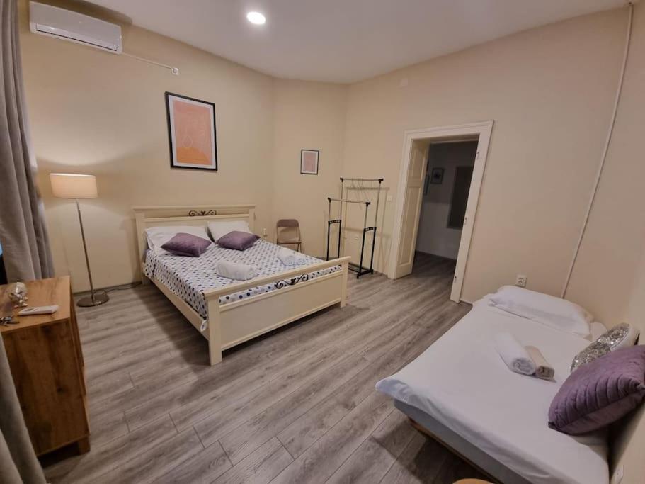 Dalmatian In The Center Appartement